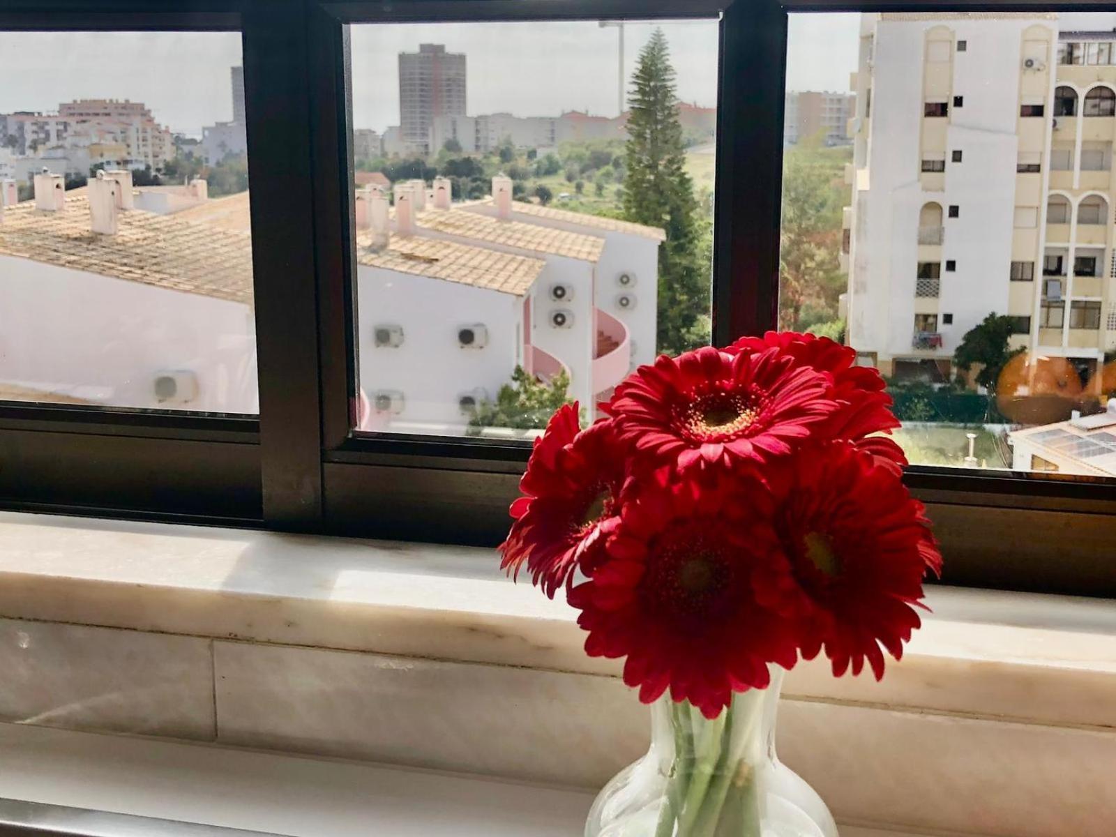 Apartment Da Rocha Rosa *